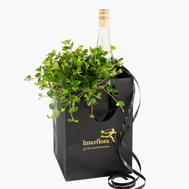 Plantelykke - liten
